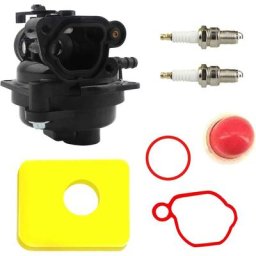 Kit Carburateur pour Briggs & Stratton 593261 595656 591979 591160, pour Moteur de Tondeuse à Gazon