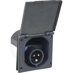 As Schwabe 61492 Mâle cee 16 a 230 v 1 pc(s)