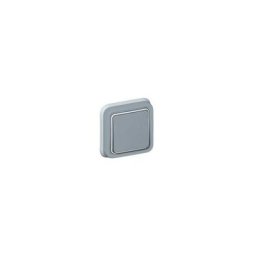 Legrand - Interrupteur ou va-et-vient étanche plexo complet IP55 encastré gris 069811 - Gris