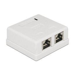 Prise réseau encastré insert avec plaque centrale et châssis cat 6 2 ports Delock 86269 blanc