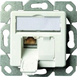 Telegärtner - Prise réseau encastré insert avec plaque centrale cat 6a 2 ports blanc-alpin