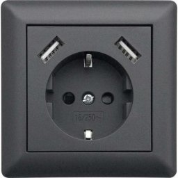 USB1003 simple Prise de courant encastrable avec usb, sécurité enfants anthracite - anthracite