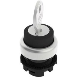 E21SC2DVA19AA Commutateur à clé noir 1 x 90 ° 1 pc(s) - noir - Pizzato Elettrica
