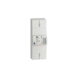 Legrand - disjoncteur de branchement enedis bipolaire différentiel 500MA sélectif intensité 60A non