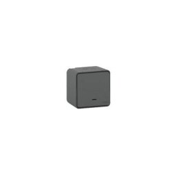 Schneider Electric - Interrupteur d'éclairage, série mur IP55 Gris Mureva Styl ( Prix pour 1 )