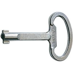 Clé pour armoires de distribution panneton double Rittal 2531.000 acier 1 pc(s)