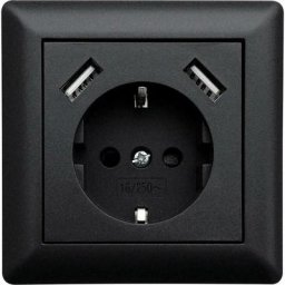 USB1002 simple Prise de courant encastrable avec usb, sécurité enfants noir Q769912 - Ledmaxx