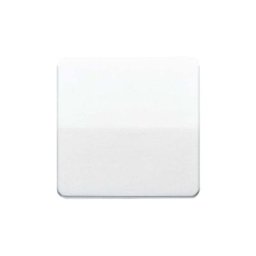 Simple Cache Interrupteur va-et-vient, Bouton-poussoir blanc-alpin CD590WW - Jung