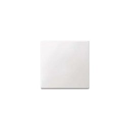 Merten 433119 Enjoliveur Pour Commandes, Blanc Mat, System M