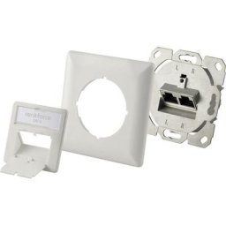 Prise réseau encastré insert cat 6 2 ports blanc - blanc - Renkforce
