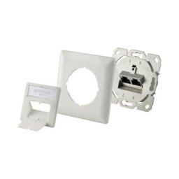 Prise réseau encastré insert cat 6 2 ports blanc pur - blanc nacré - Renkforce