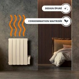 Radiateur électrique fixe 700W