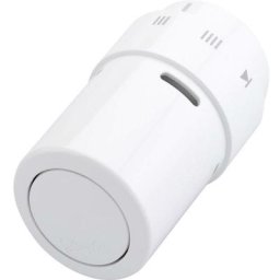 Tête thermostatique liquide blanche rax pour corps ra