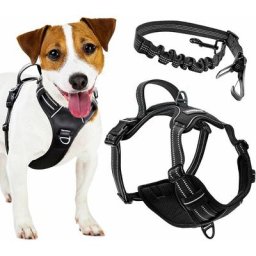 Harnais pour chien anti-traction Firstpaw Ajustable, confortable, réfléchissant - Une ceinture de
