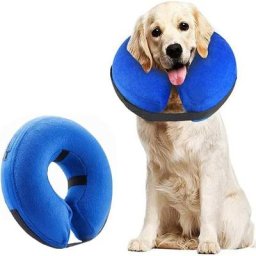 Collier pour chien Collier de protection gonflable Collier de protection Collier réglable pour