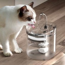 Blue Dream - Fontaine a Eau pour Chat Automatique 2L Fontaines à Eau pour Chats Chiot Animaux avec