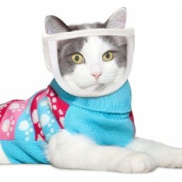 Muselière de toilettage pour chat Protège-dents respirant pour les chats pour éviter de se mordre