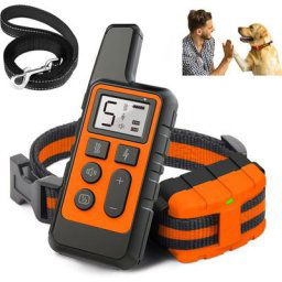 Collier de dressage pour chien étanche Pet 500m Télécommande rechargeable-orange