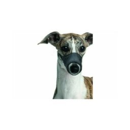 Flamingo - Muselière en nylon noir Taille xs - Chihuahua Whippet