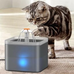Skecten - Fontaine à Eau pour Chat Chien avec led, Distributeur Eau Automatique Ultra Silencieuse