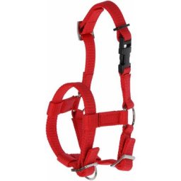Licol réglable p. alpaga rouge