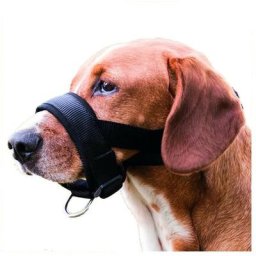 Animallparadise - Muselière sangle taille l-xl pour chien Bouvier Bernois, Golden Retriever. Noir