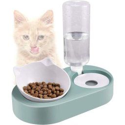 Gamelles pour Chats,Bol pour Chaton,Distributeur de Croquettes et Eau pour Chat et Chien,Inclinable