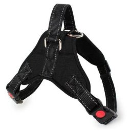 Harnais pour Chien sans Traction, Confort Réglable et Respirable, Laisse Incluse, pour Petit Moyen