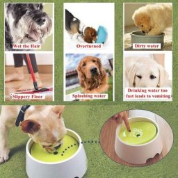 Gamelle anti-éclaboussures pour chiens, 2 en 1 innovante anti-éclaboussures, anti-poussière,
