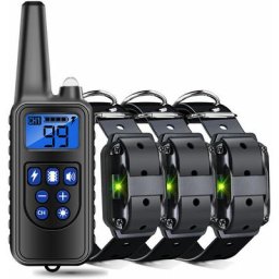 Collier de Dressage pour Chiens Rechargeable et Étanche avec Distance de 800m, Choc Electrique,