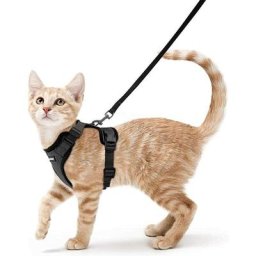 Harnais Chat Petit Chien Laisse Harnais Chaton Réglable Rouge XS Collier Harnai Chat Refléchissant