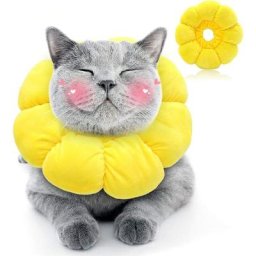 Collerette pour Chat Rréglable Anti-Morsure Collerette Chat Collier Anti Lechage Après Chirurgie