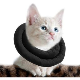 Blue Dream - S-Collerette pour Chat réglable, Doux Collerette Chat, Colerette pour Chat Anti