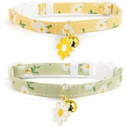 Collier de chat mignon chaton collier fille chat garçon chat choix idéal (lot de 2)