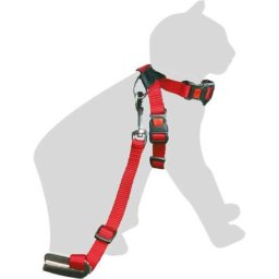 Harnais de securite chat 15mm rd