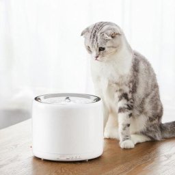 Fontaine à Eau pour Chat en Acier Inoxydable, Distributeur d'eau Intelligent Chat 1,35L, Lumière