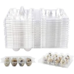100pcs 12 Grilles boîte d'oeufs de caille Oeuf de Caille Cartons réutilisables Boite de Rangement