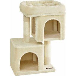 Feandrea Arbre à Chat, Tour de Jeux 67 cm, s, Maison pour Chatons Jusqu'à 3 kg, Grande Plate-Forme,