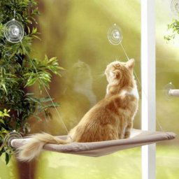 Cat bed : Hamac de Fenêtre pour Chat