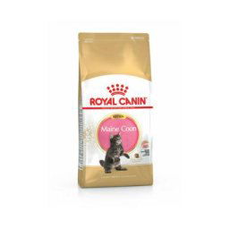 Royal Canin - Croquettes pour chaton Kitten Maine Coon Sac 2 kg