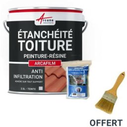 Arcane Industries - Réparation étanchéité tuile gouttière cheneau trou fissure souche cheminée