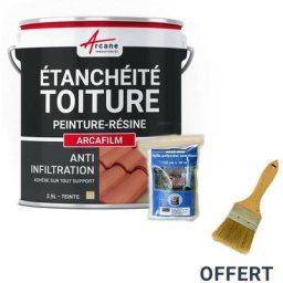 Arcane Industries - Réparation étanchéité tuile gouttière cheneau trou fissure souche cheminée