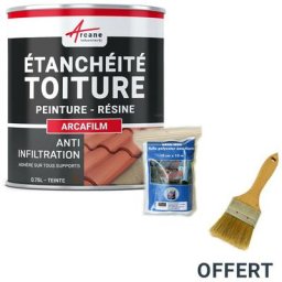 Arcane Industries - Réparation étanchéité tuile gouttière cheneau trou fissure souche cheminée