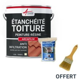 Réparation étanchéité tuile gouttière cheneau trou fissure souche cheminée ardoise arcafilm pack