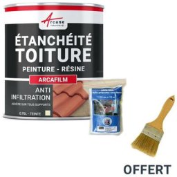Réparation étanchéité tuile gouttière cheneau trou fissure souche cheminée ardoise arcafilm pack