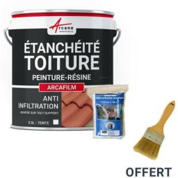 Arcane Industries - Réparation étanchéité tuile gouttière cheneau trou fissure souche cheminée