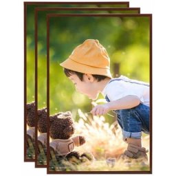 Vidaxl - Collage de cadres photo 3 pcs de mur table Bronze 42x59,4cm mdf Bronze