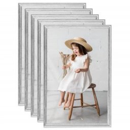 Vidaxl - Collage de cadres photo 5 pcs au mur table Argenté 59,4x84 cm Silver