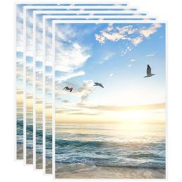 Collage de cadres photo 5 pcs de table Blanc 18x24 cm mdf Vidaxl Blanc
