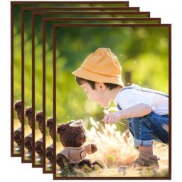 Vidaxl - Collage de cadres photo 5 pcs de mur table Bronze 50x60 cm mdf Bronze